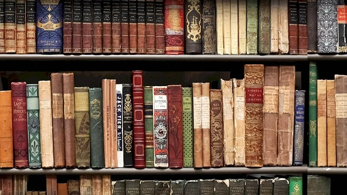 Обои книжные полки