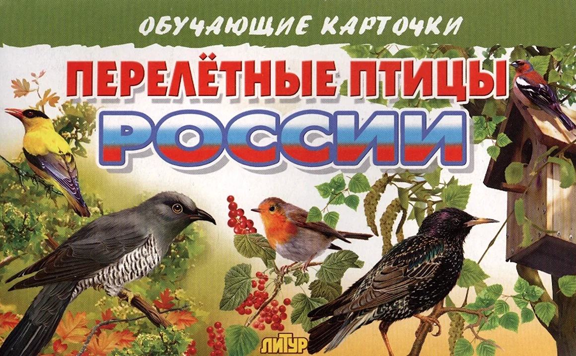 Обучающие карточки перелетные птицы