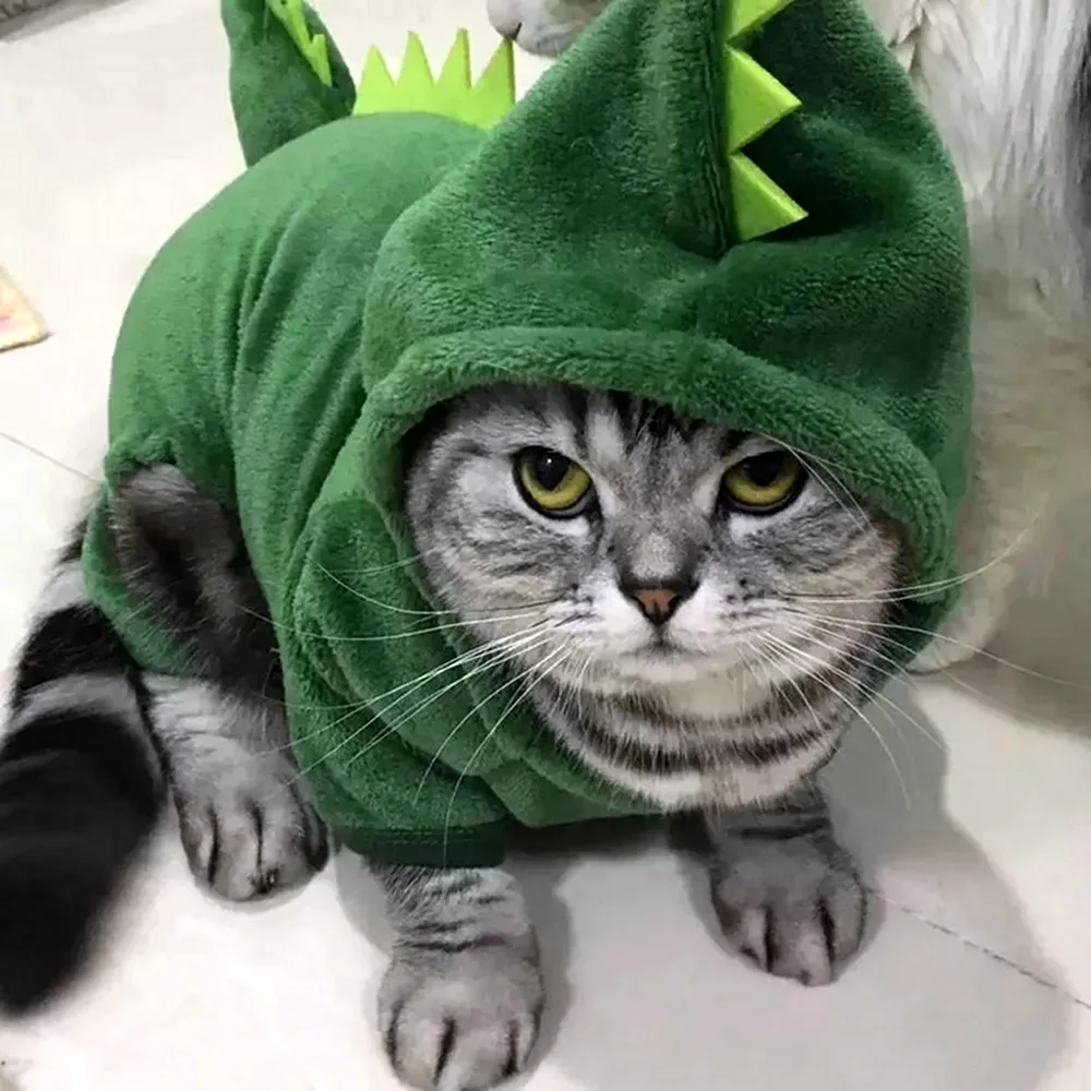 Одежда для котов