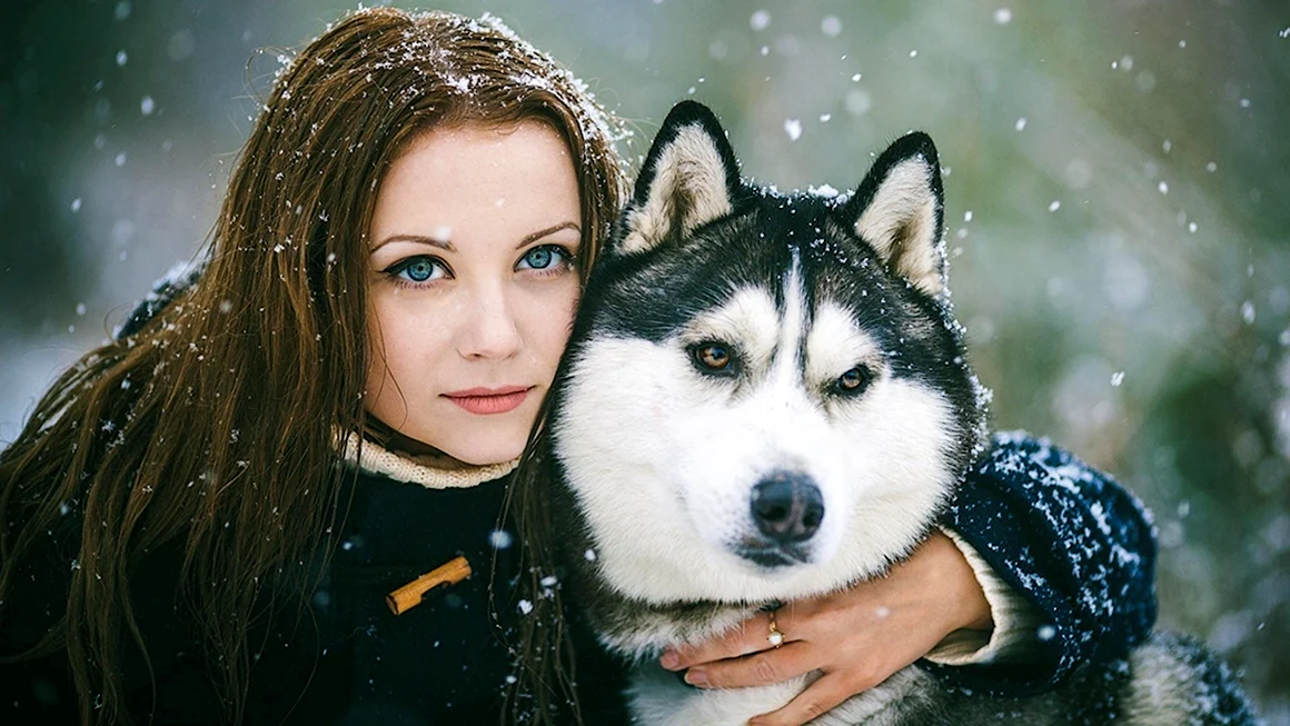 Одри хаски