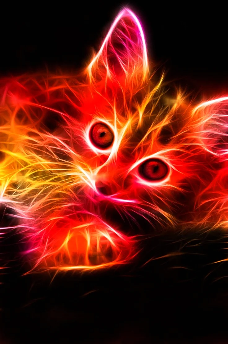 Огненный кот