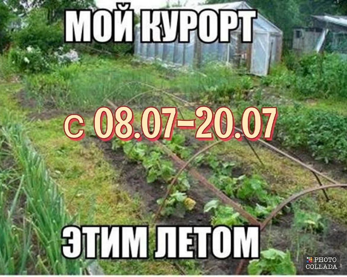 Огород дача с надписями