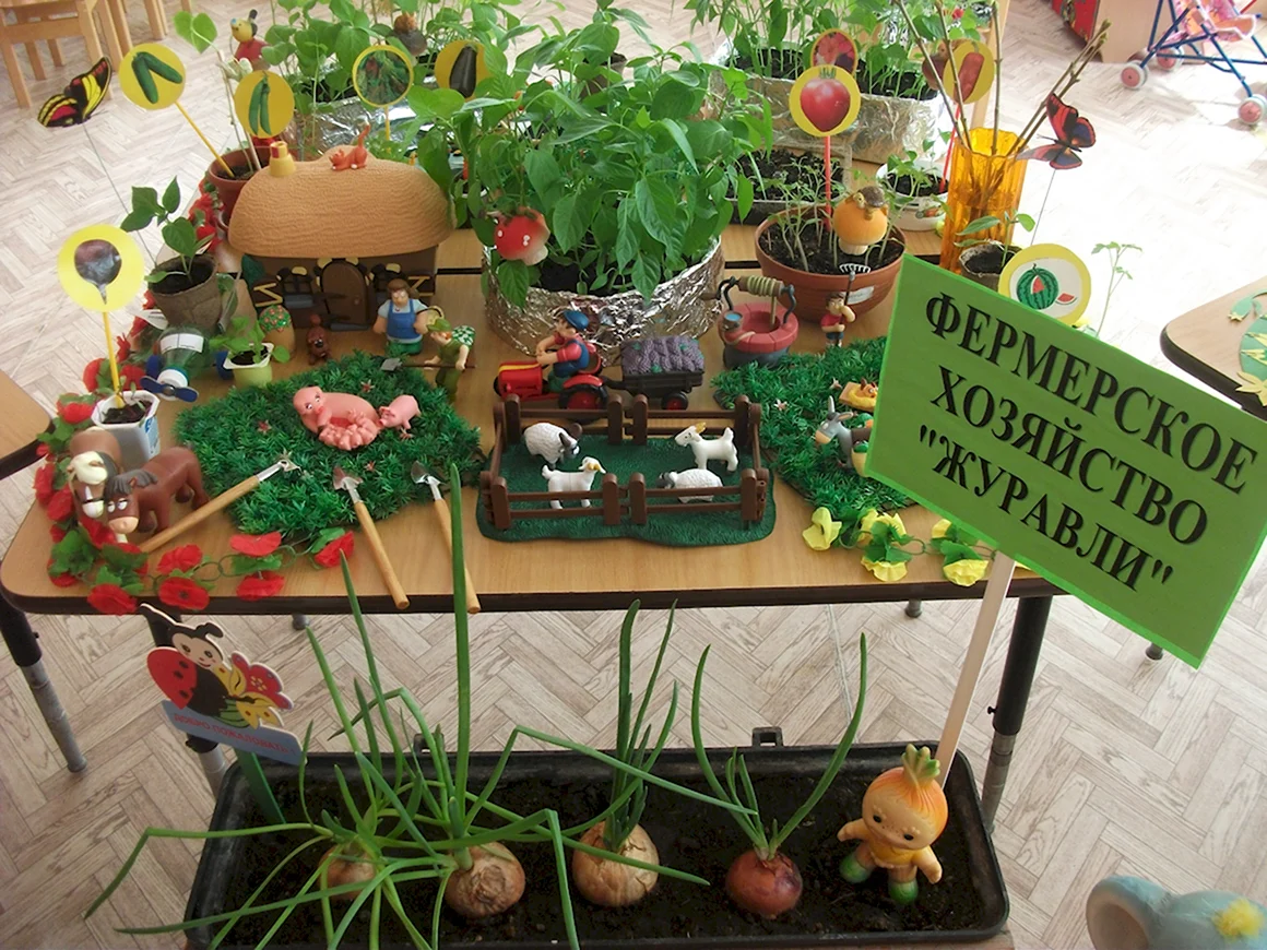 Огород на окне