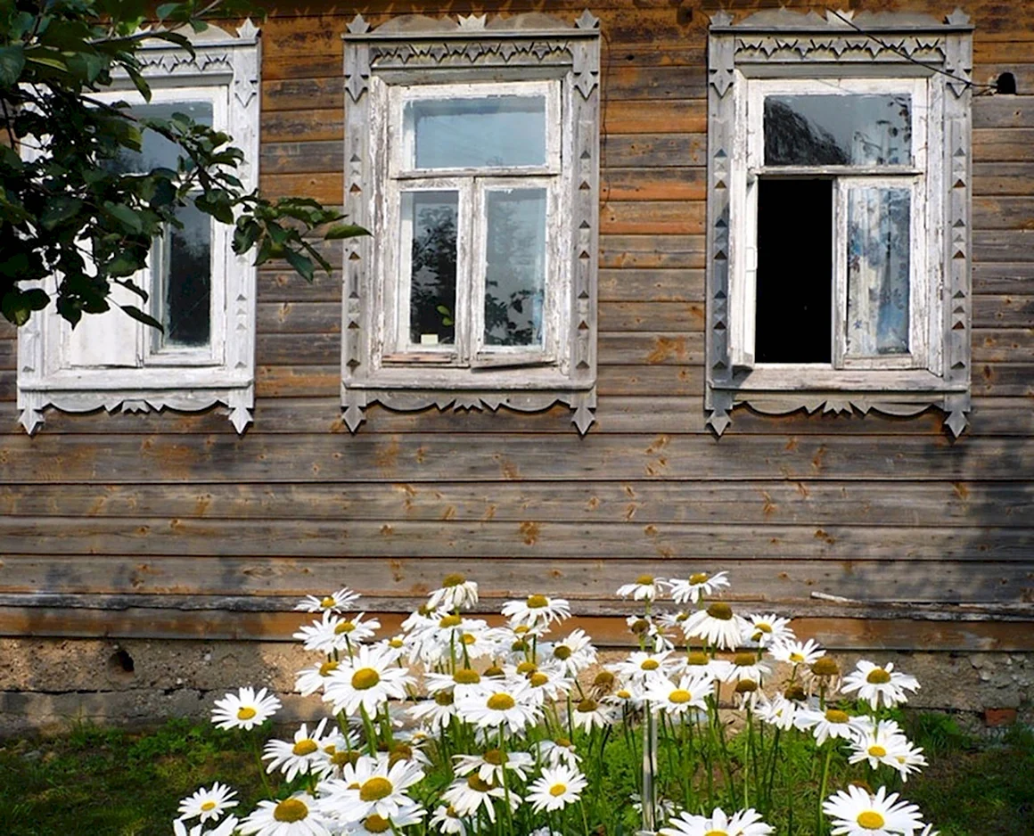 Окно в деревне