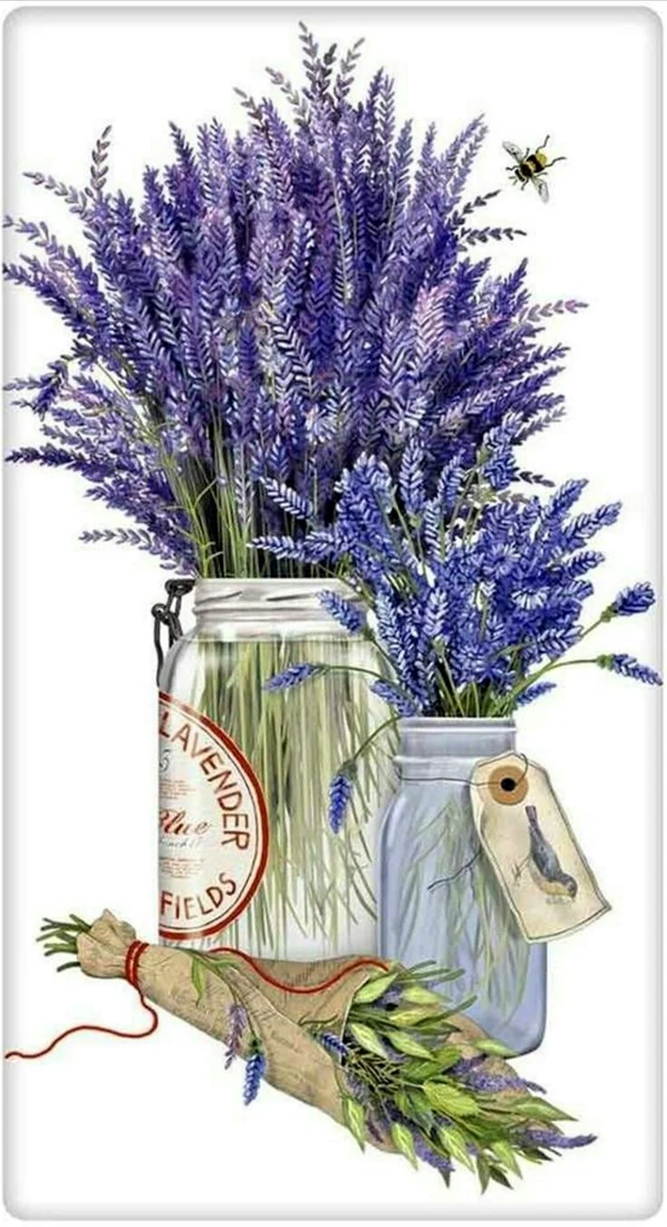 OLANTA «букет лаванды»