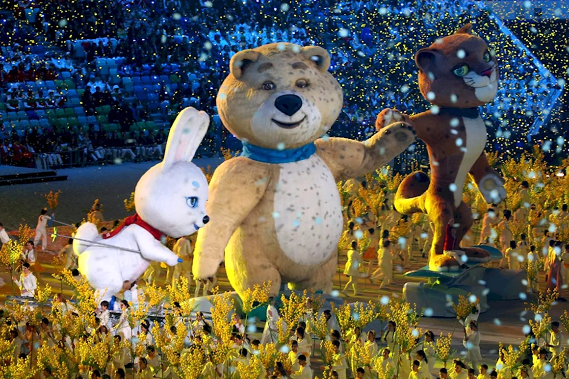 Олимпийские игры в Сочи 2014