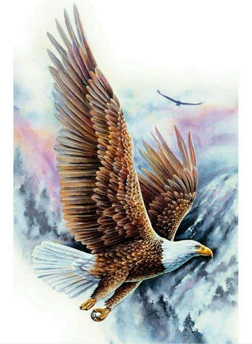 Орел рисунок