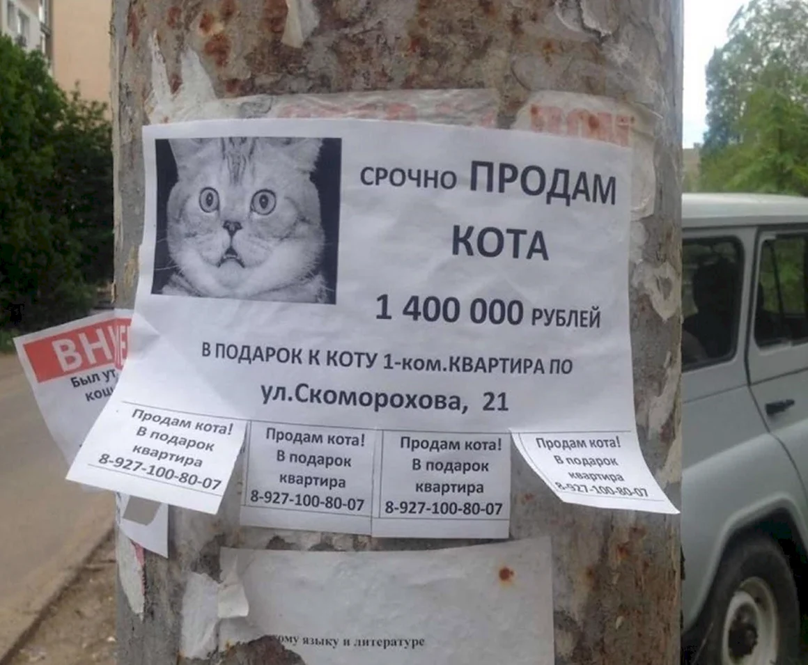 Оригинальные объявления