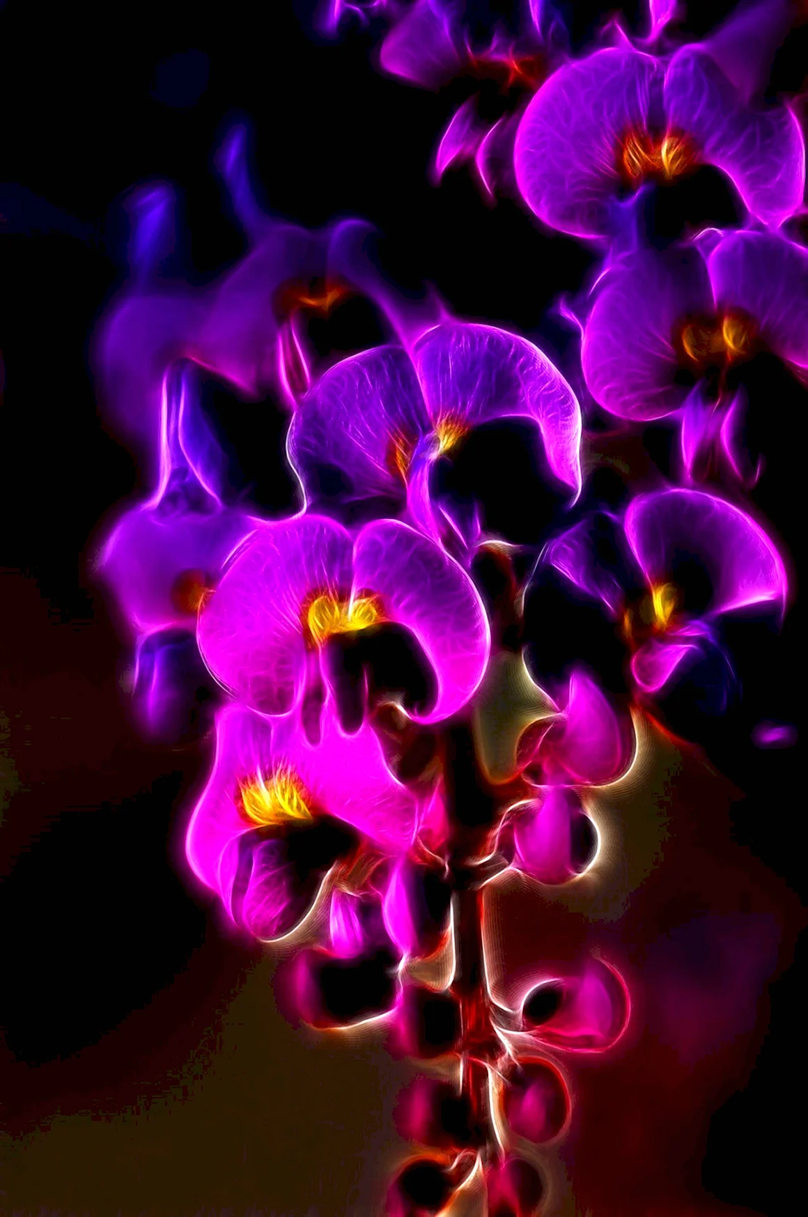 Орхидея Salamant Purple
