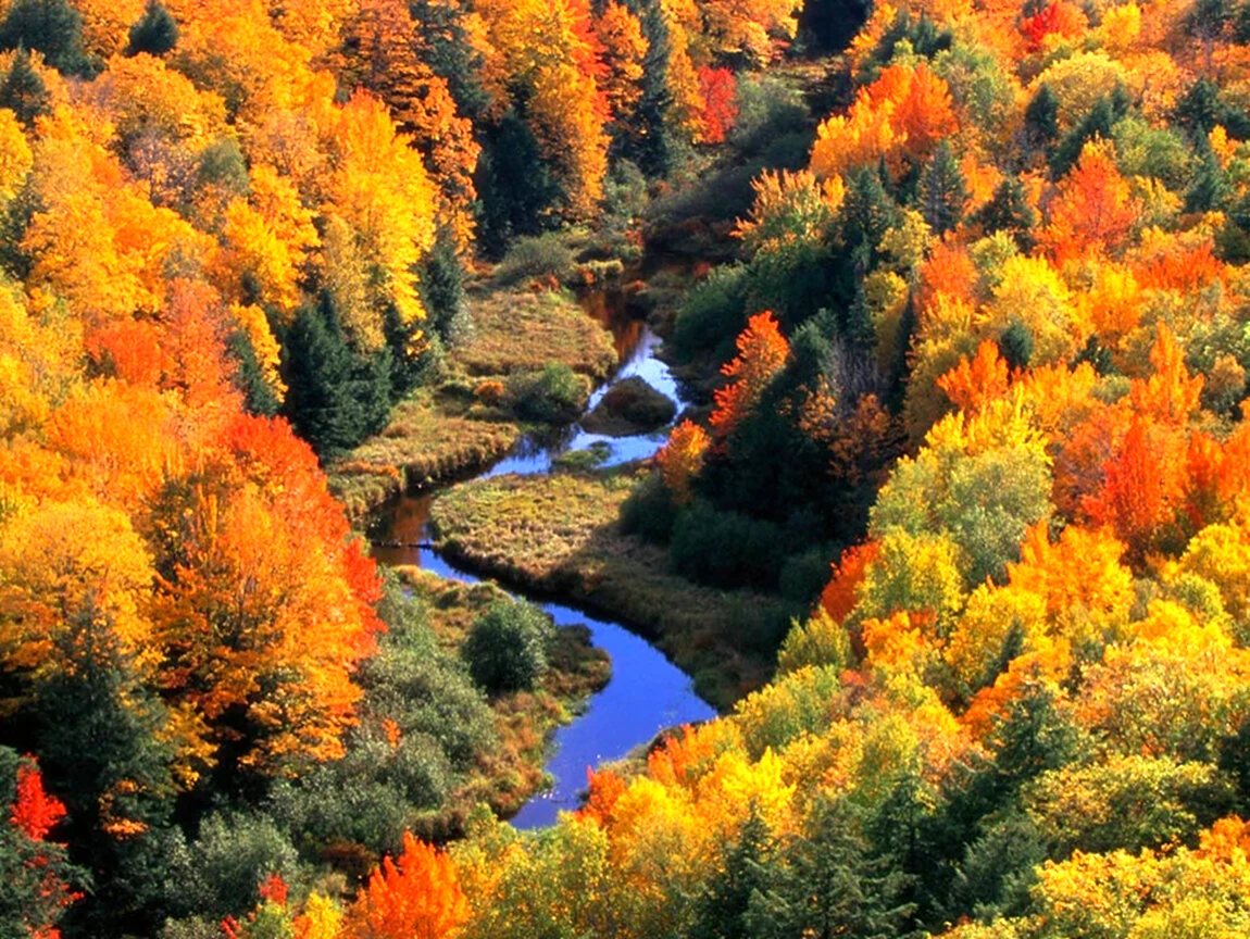 Осень