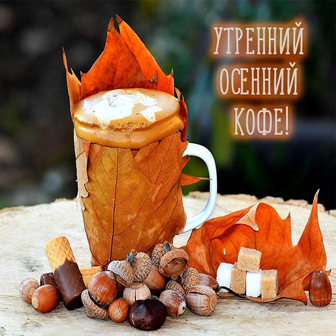 Осеннее утро четверга