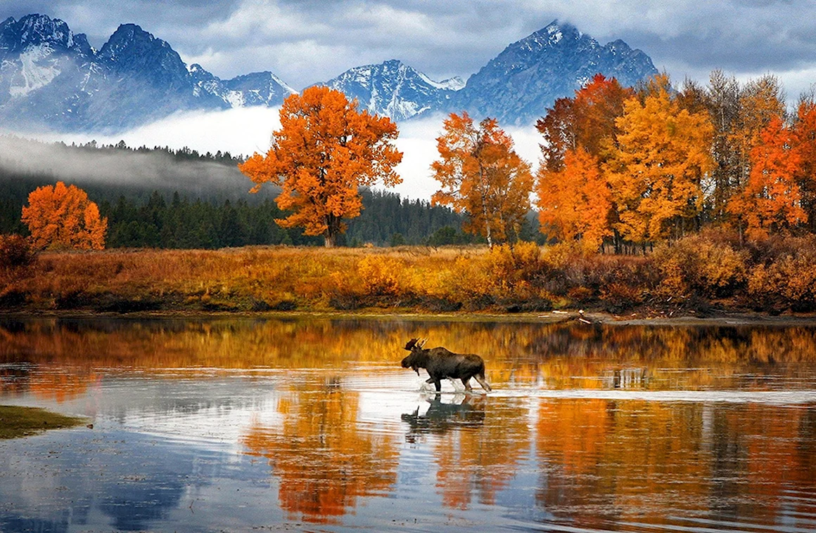 Осенняя природа Вайоминг