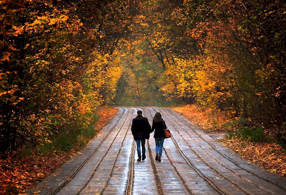 Осенняя прогулка