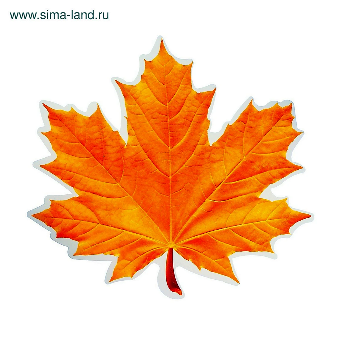 Осенние листочки