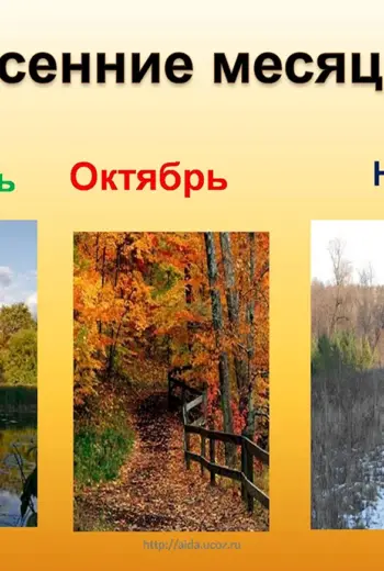 Осенние месяцы