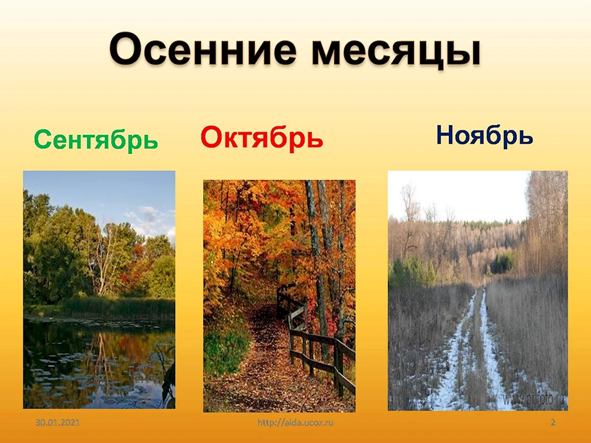 Осенние месяцы