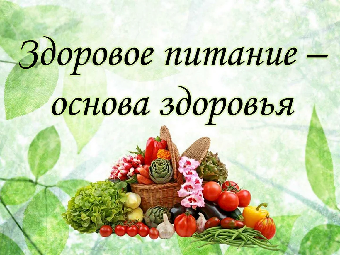 Основы здорового питания