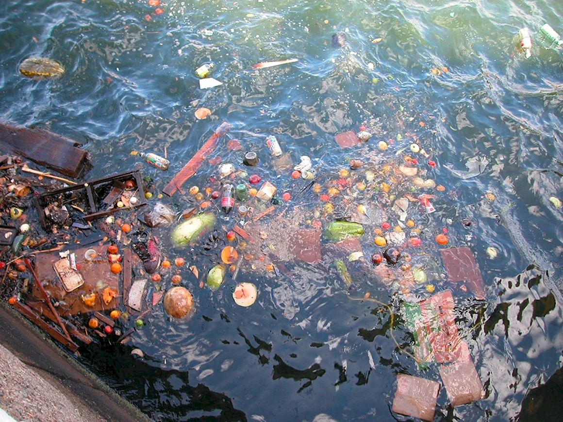 Отходы сельского хозяйства загрязнение мирового океана