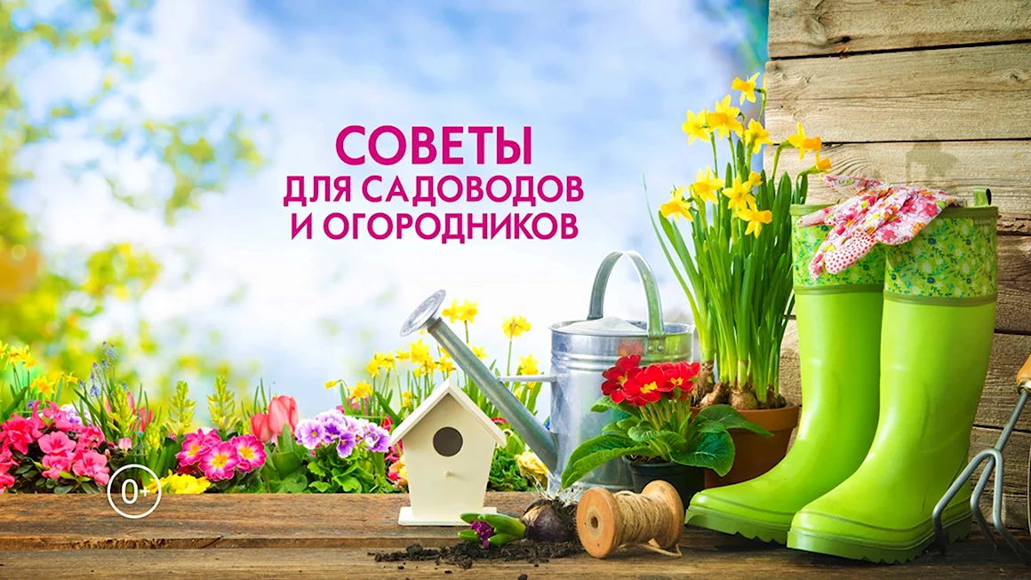 Открытие дачного сезона