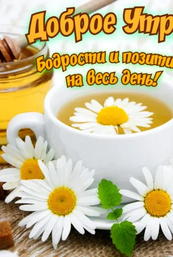 Открытка бодрости и хорошего настроения