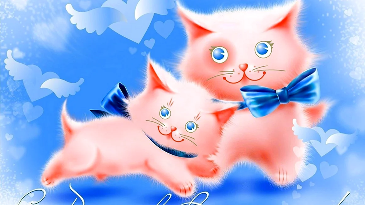 Открытка «котики»
