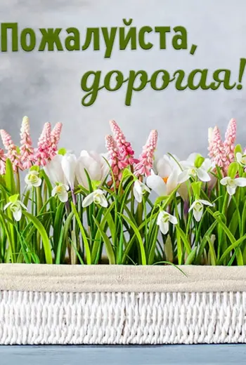 Открытка пожалуйста