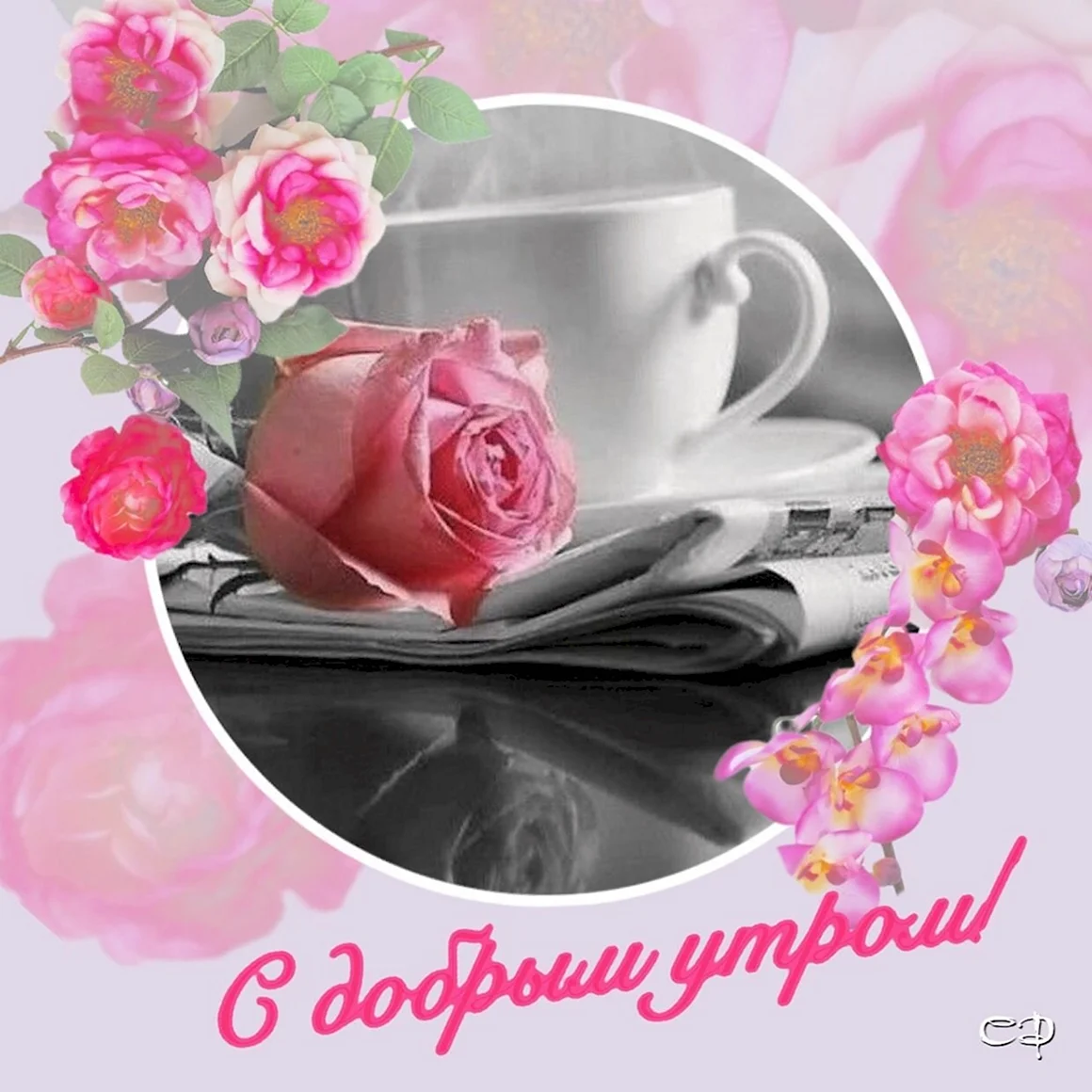 Открытка с добрым утром Тамара