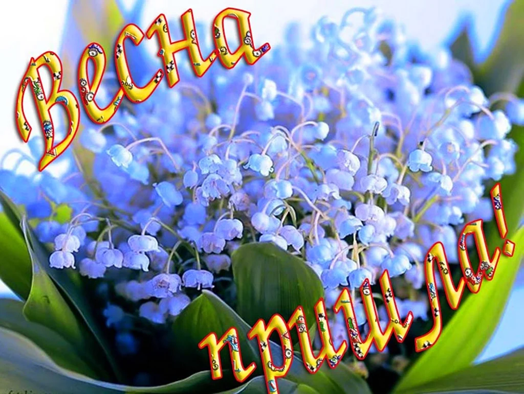 Открытка «Весна»