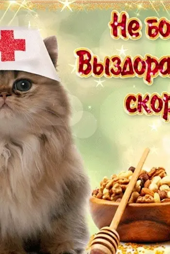 Открытка выздоравливайте