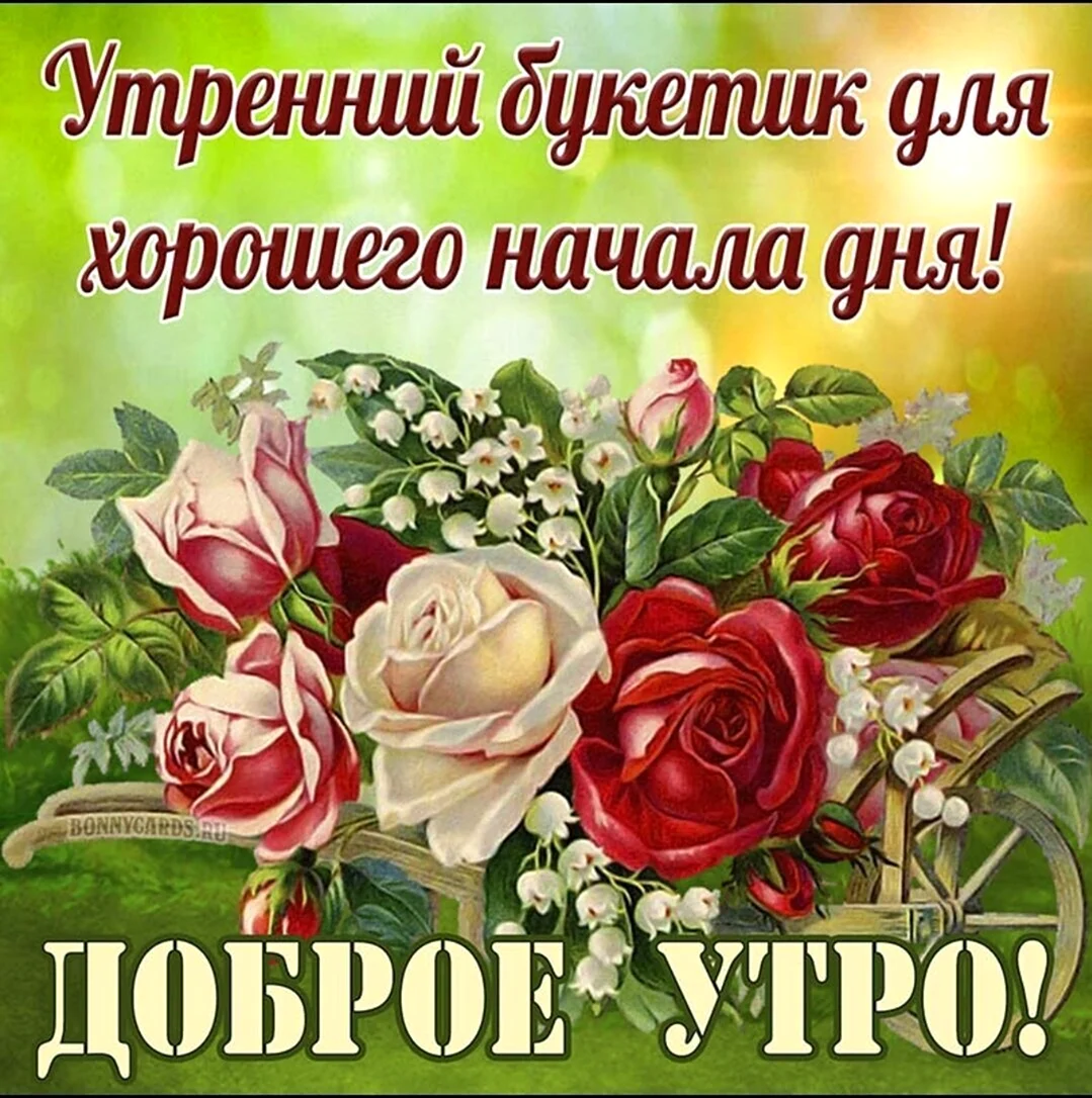 Открытки