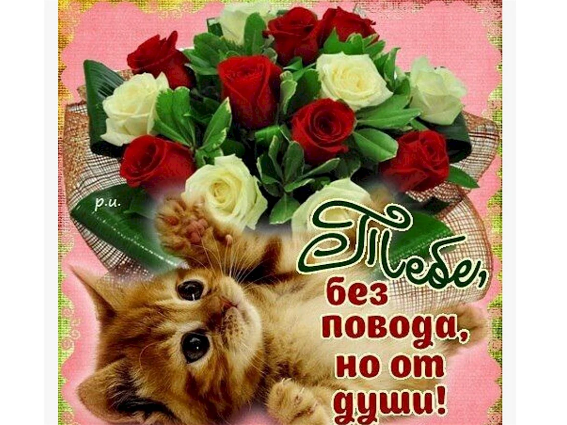 Открытки без повода