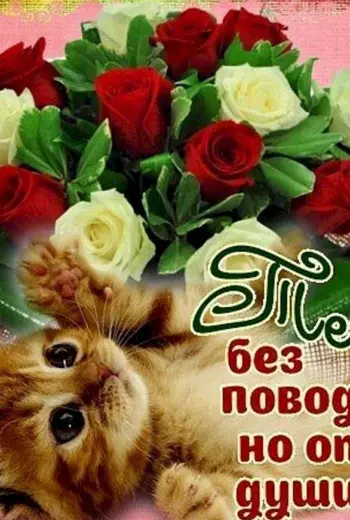 Открытки без повода