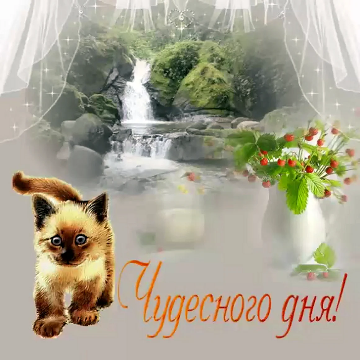 Открытки чудесного дня