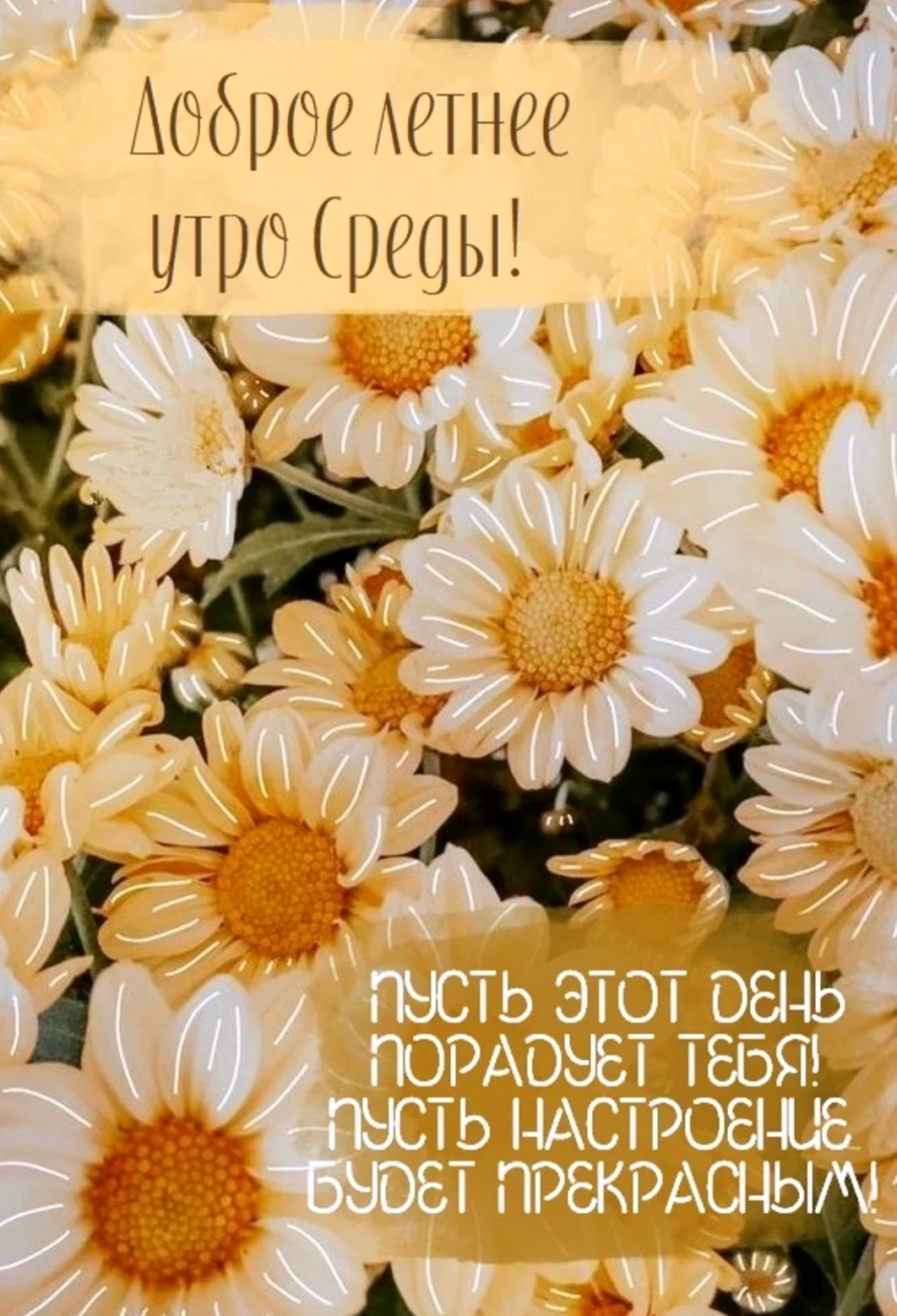 Открытки доброе летнее утречко