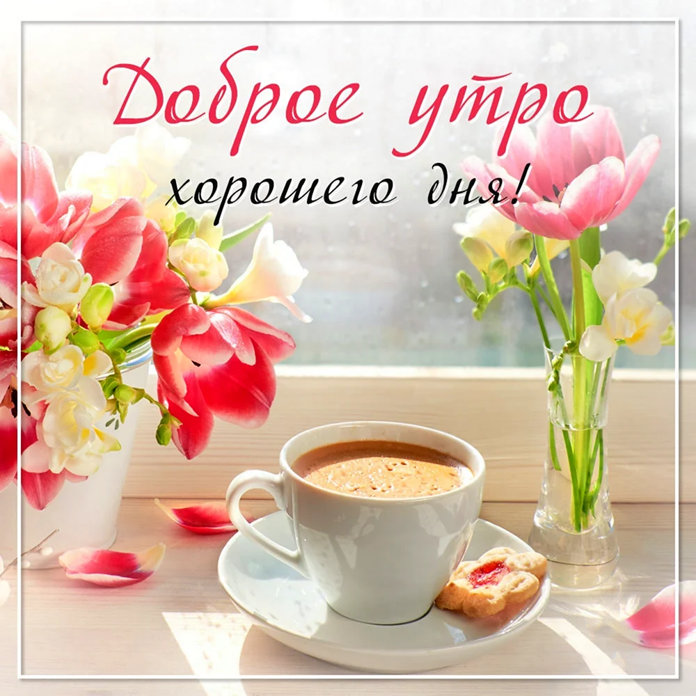 Открытки доброе утро хорошего дня