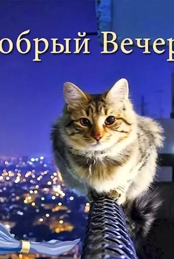 Открытки добрый вечер