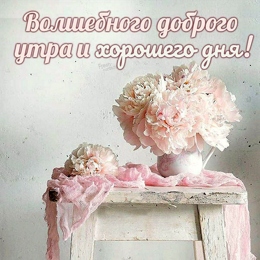Открытки хорошего дня нежные