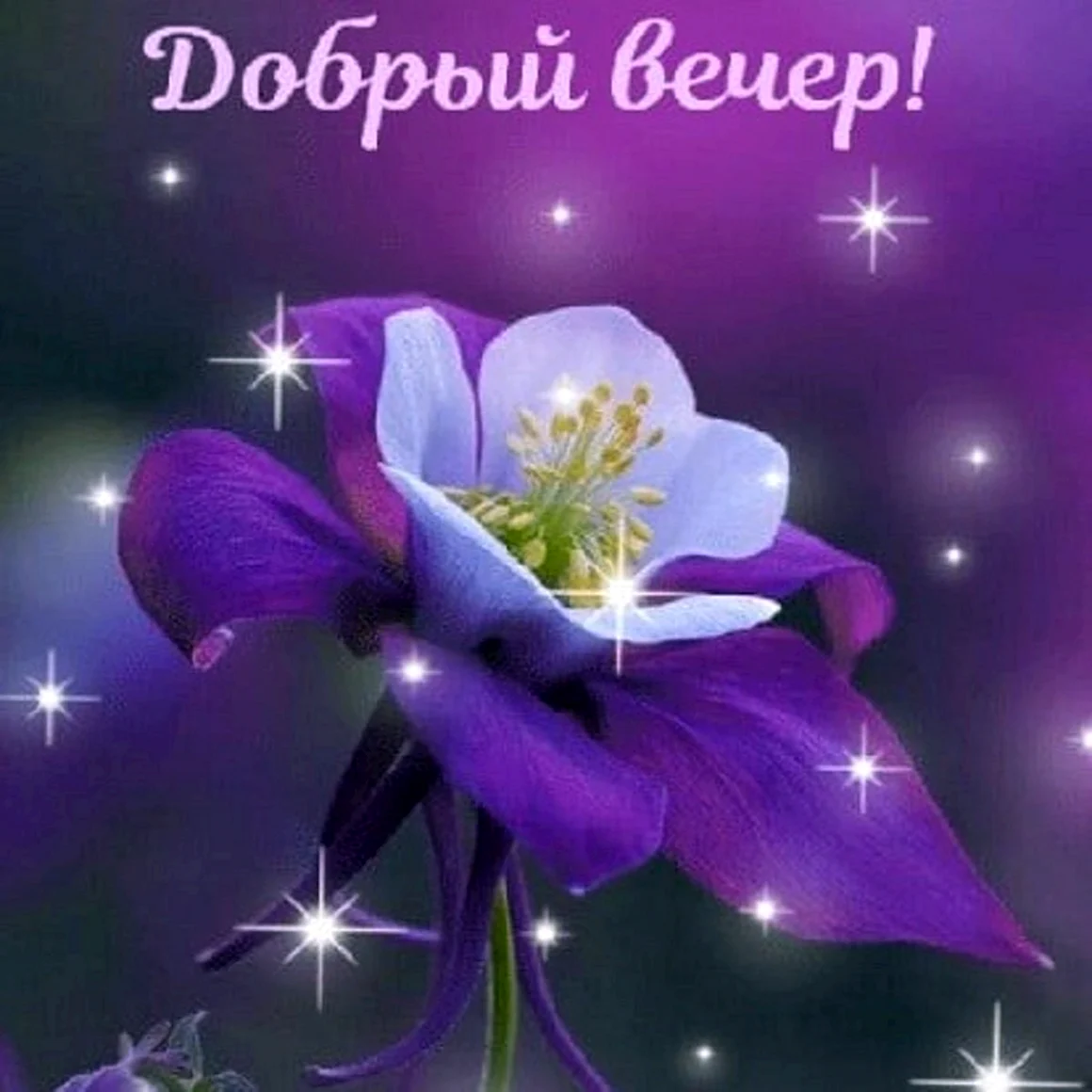 Открытки хорошего вечера
