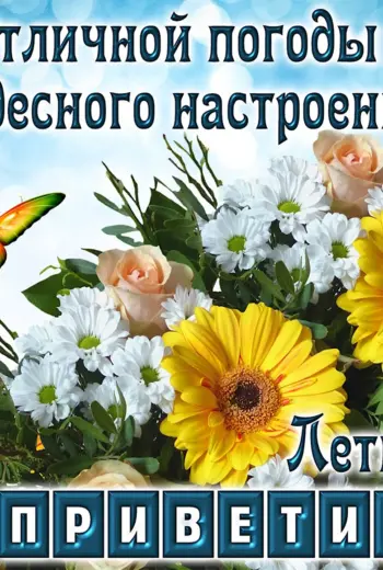 Открытки летнего настроения