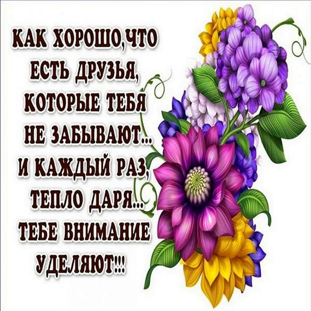 Открытки о дружбе и друзьях