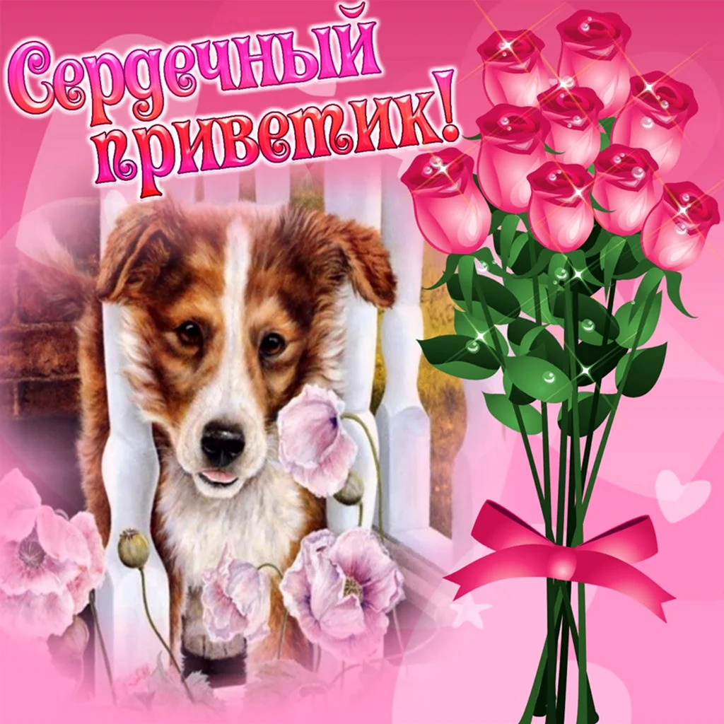 Открытки привет