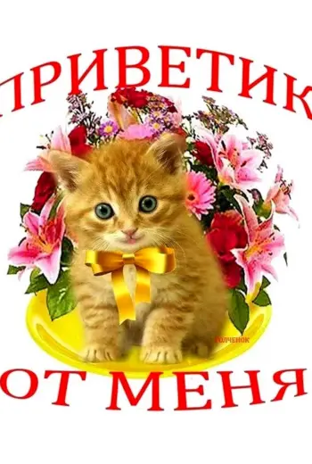 Открытки приветик