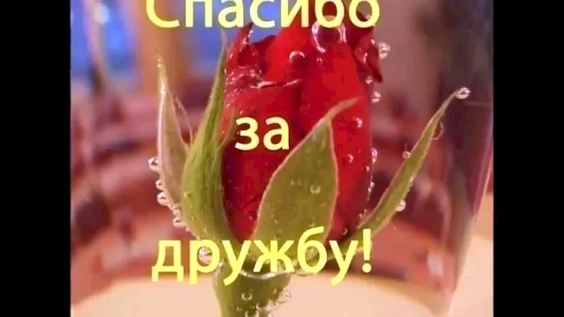 Открытки про дружбу
