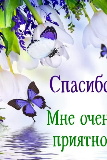 Открытки с благодарностью