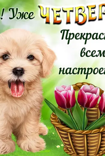 Открытки с четвергом