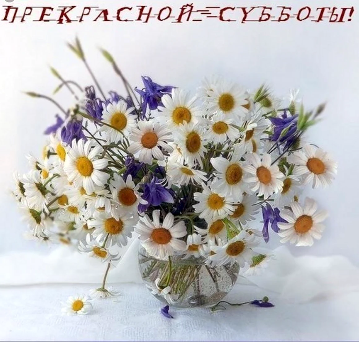 Открытки с днём рождения с полевыми цветами