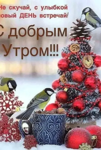 Открытки с добрым декабрьским утром