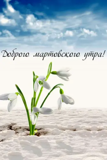 Открытки с добрым мартовским утром