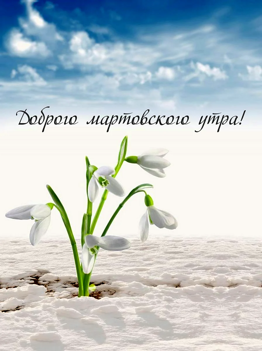 Открытки с добрым мартовским утром