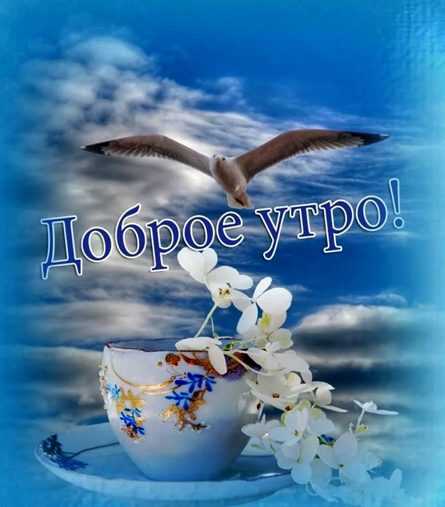 Открытки с добрым мирным утром